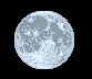 Moon age: 14 days,12 hours,49 minutes,100%